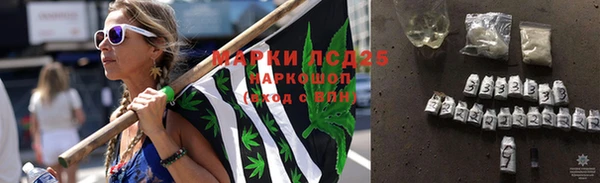 индика Белокуриха