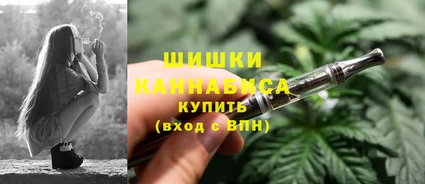 индика Белокуриха