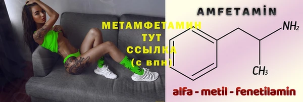 индика Белокуриха