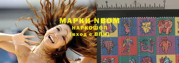 индика Белокуриха