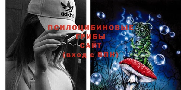 ECSTASY Белоозёрский