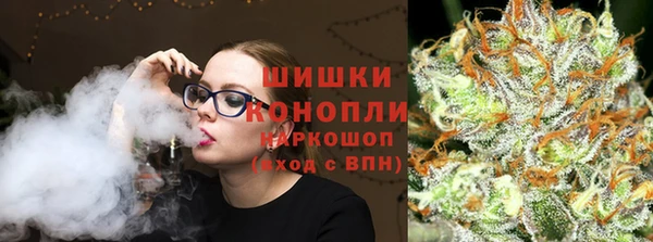 индика Белокуриха