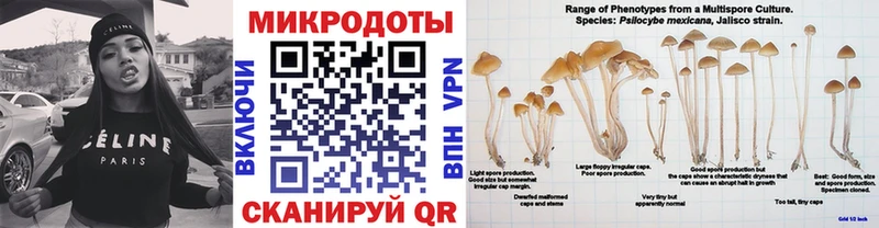Галлюциногенные грибы Psilocybe  Томари 